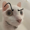 😻 GATITOS INFALTABLES 😻 11