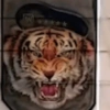 Tigre activó 6