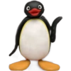 Pingu 🐧 O&M 9