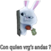 Snowball (pets) 🐰❄️💙 28