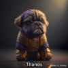 Animales Marvel 🐶🐱🐕 22