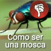 🦟Mira, una mosca 🦟 bzz 7