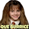 PERSONAGENS IRÔNICOS 17