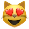 Emojis de iPhone 12