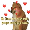 Perrito Cheems 7