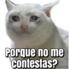 Memes que necesitas 2😂🥳 13