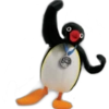 Pingu 🐧 O&M 22