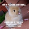 Flerte +18 8