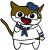 Cats 9