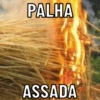 MEMES PARA COMPARTILHAR  8