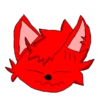 Gatito 1 14