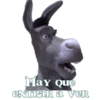 Hay Que ENTRAR a VER