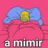 Memes com desenhos 9