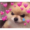PARA O CRUSH(A) 14
