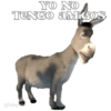 YO NO TENGO aMiGos @YoSoyTeba