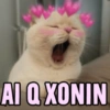 🐱🐾🐈 Cats lV  🐈🐾🐱 7