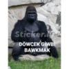 Goril 7