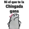 Flork Tóxica 5