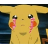 Pokemon 13