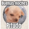 Buenos días culona 7