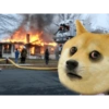 Sticker pack 3 (dogeism) 4
