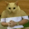 ANIMALES DIVERTIDOS 27
