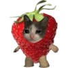 Stiker kucing cute pt3 27