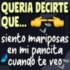 QUERIA DECIRTE QUE... Viickyfas siento mariposas en mi pancita cuando te veo