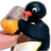 Pingu 🐧 O&M 14