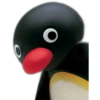 Pingu 🐧 O&M 15