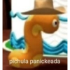 Pichula 9