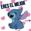 Stitch 14