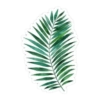 Cactus y suculentas aesthetic 8