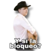 Y sí? 19