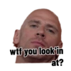 Johnny sins 14