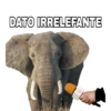 Inglés y animales 9
