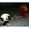 Evangelion 26