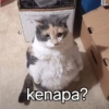 Meme random #2 8