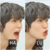 Meme NCT 19