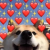 💖💞Love Reactions 3💞💖 7