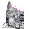Michis hot 16