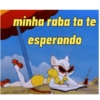 Flerte +18 6