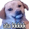 Memes Variados 9