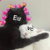 Gatinhos apaixonados fofos 6
