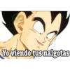 Pa los novios dragon ball 18