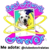 StickerAdoption  34