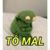SAPINHO SINCERO 7