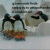 Pingu 17