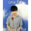 Kjotos~ 5