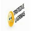 Sarcasmo 6